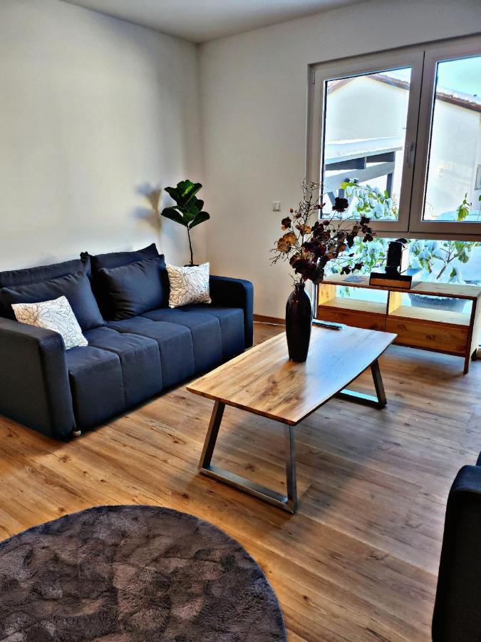 Lions Place Premium Apartments Comfort Optionaler Zugang Zum Spa- Bereich Heidenheim an der Brenz Exteriör bild