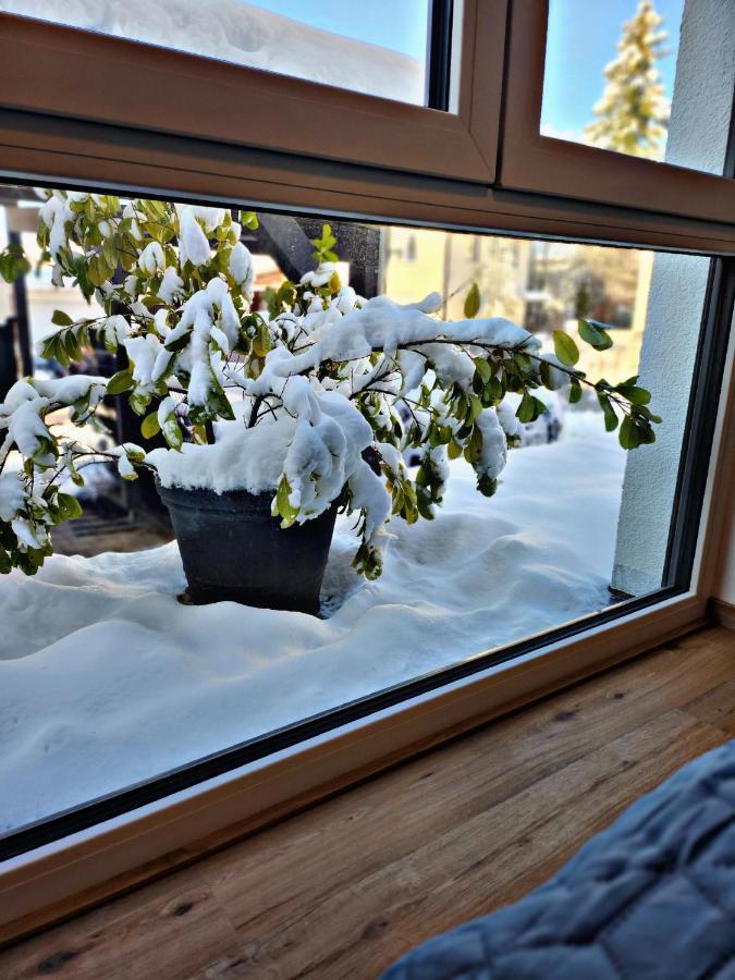 Lions Place Premium Apartments Comfort Optionaler Zugang Zum Spa- Bereich Heidenheim an der Brenz Exteriör bild
