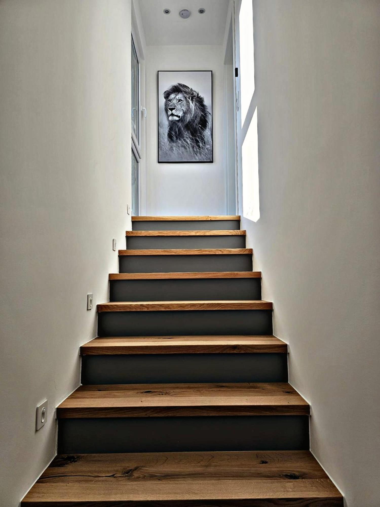 Lions Place Premium Apartments Comfort Optionaler Zugang Zum Spa- Bereich Heidenheim an der Brenz Exteriör bild