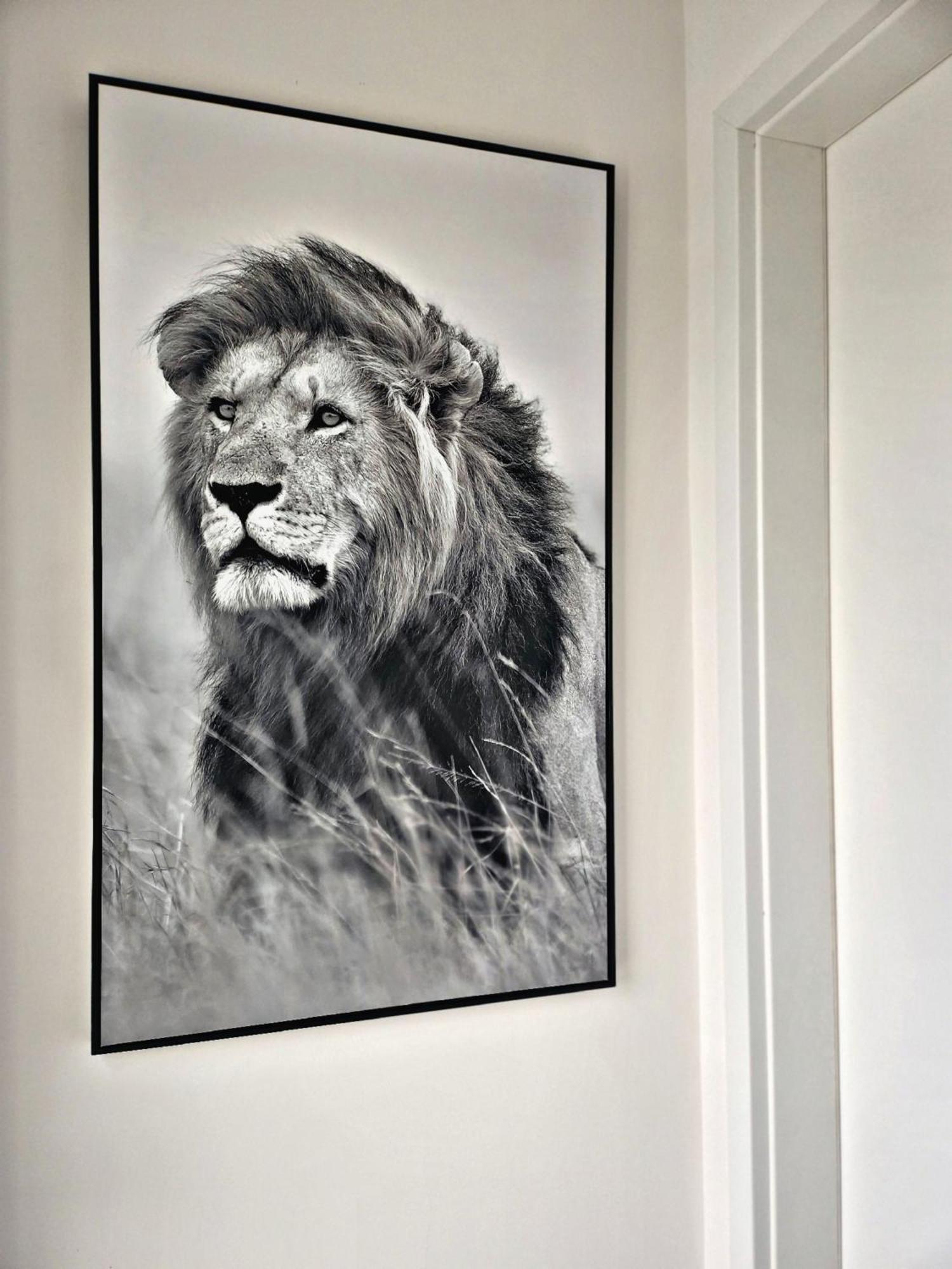 Lions Place Premium Apartments Comfort Optionaler Zugang Zum Spa- Bereich Heidenheim an der Brenz Exteriör bild