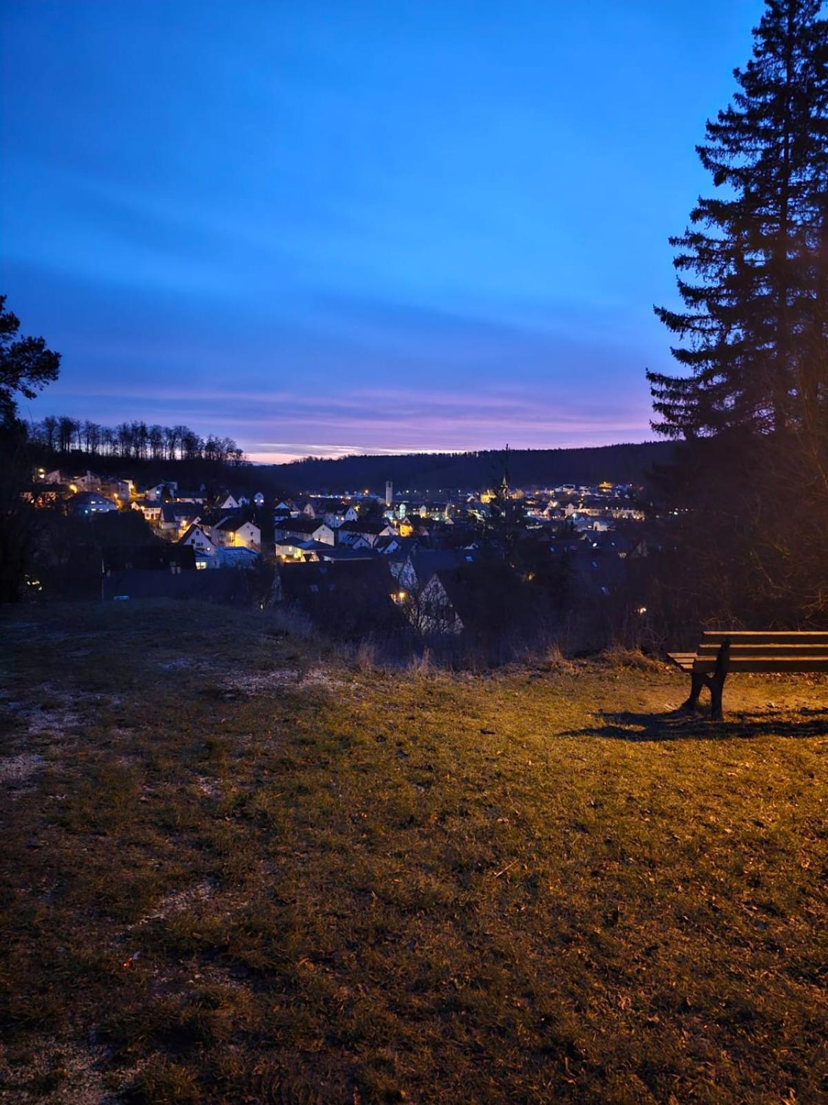 Lions Place Premium Apartments Comfort Optionaler Zugang Zum Spa- Bereich Heidenheim an der Brenz Exteriör bild